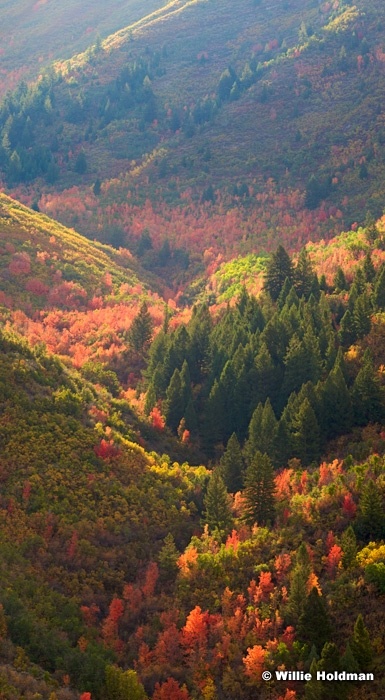 Backlitcolors092909