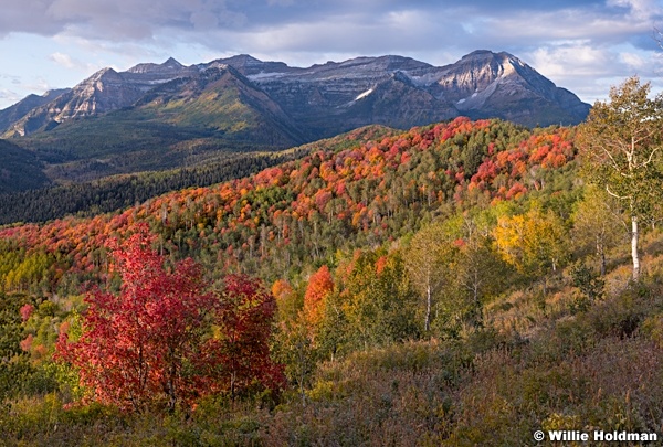 Timpanogos Autumn Color 093019 4184 7x5