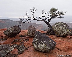 Lave Boulders 5