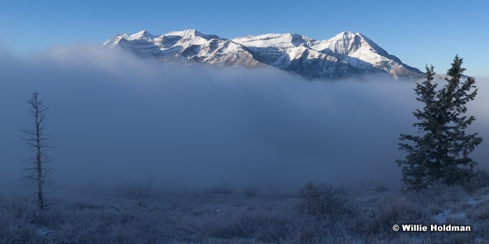 Floating Timp 102612