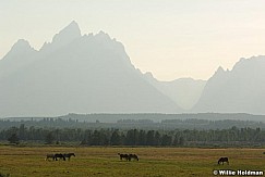 teton071707 781