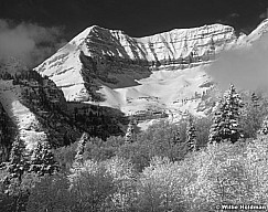 100370108009BW