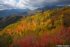 Timpanogos Autumn Cascade 100216 0483 4