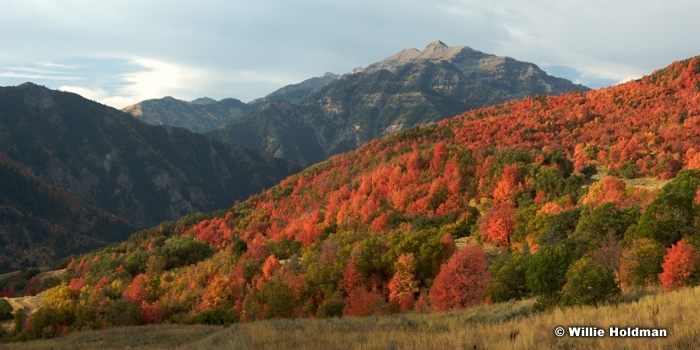 Cascadepano2009