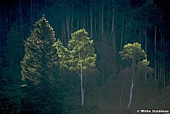 lostlakevail 80507 1309