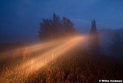 Headlights Fog Trees 092612 421