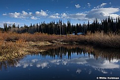 Pine Tree Reflection 053013 6651