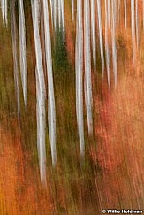 Aspen Abstract 092611 238