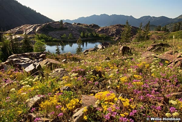 bigcottonwood072809a