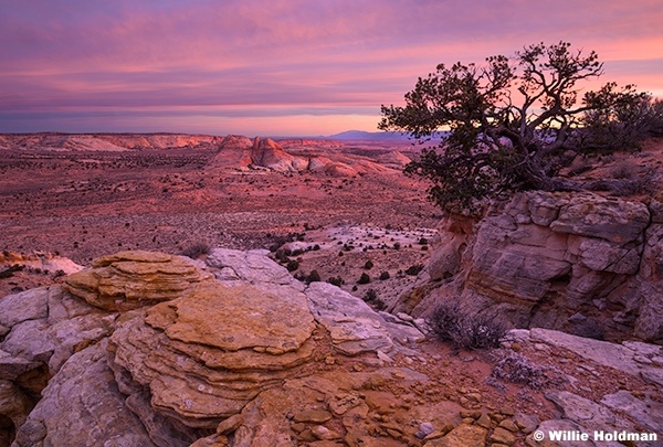 Escalante Desert 011126 2835