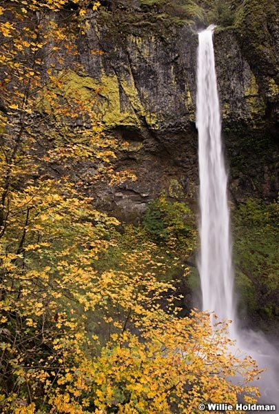 Latourell Waterfall070514 6959 4