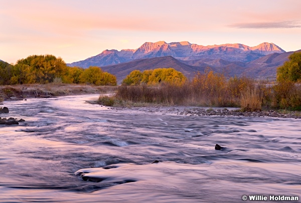Timpanogos Provo River 101414 4