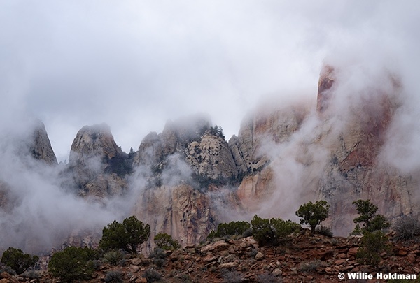 Zion Towers Of The Virgin 010226 1668