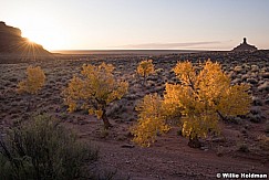 Valley of the Gods 102019 9937