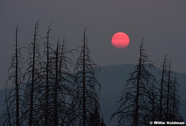 Red Sun 090617 7381