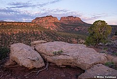 Boundary Butte Mountains 050115 8386