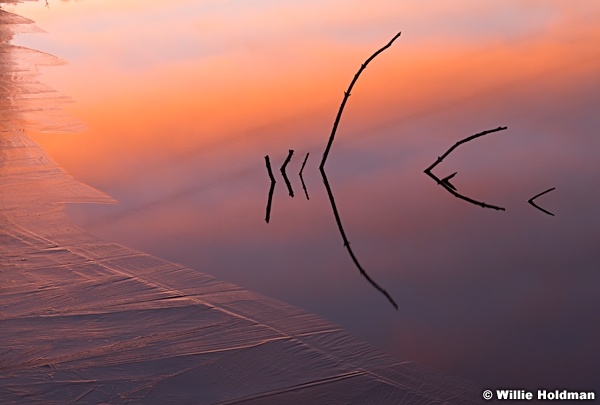 Sticks and Ice sunrise 120621 8464 2