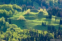 Wasatchgreens063010 1064