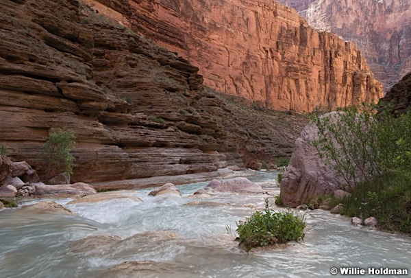 Havasu Grand Canyon 041616 9117