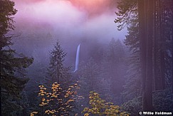 Silver Falls Oregon 110714 8402 Warmer