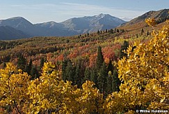 maple mountain093007 1146