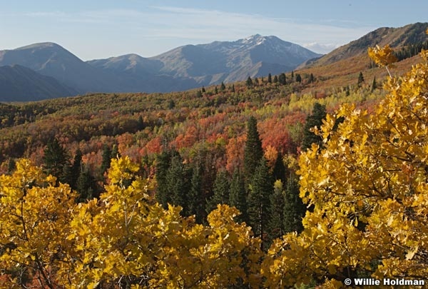 maple mountain093007 1146