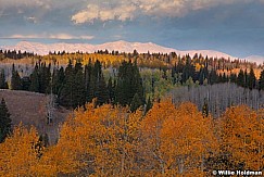 uintaaspens100310 3084