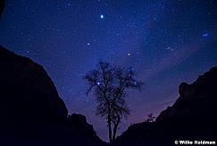 Zion night Sky 110613 0439