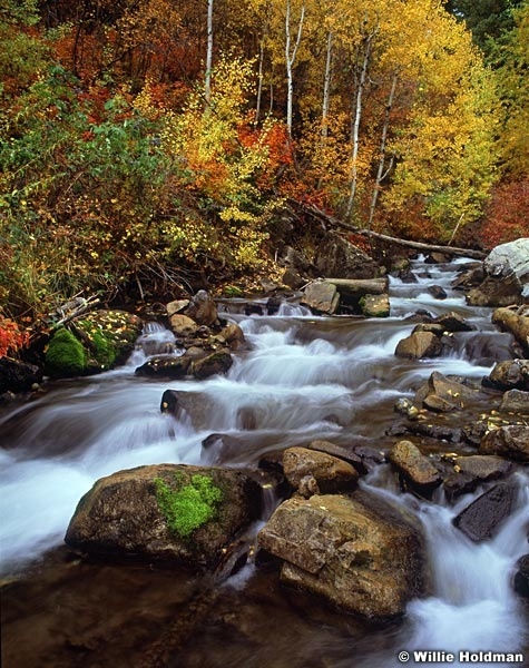 northforkcreekfall