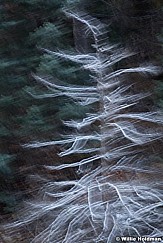 Abstractimpressions101510 7096