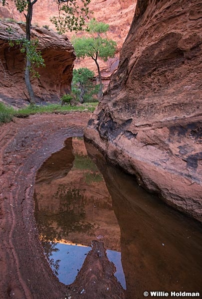 Escalante Choprock Canyon 060516 0845 2