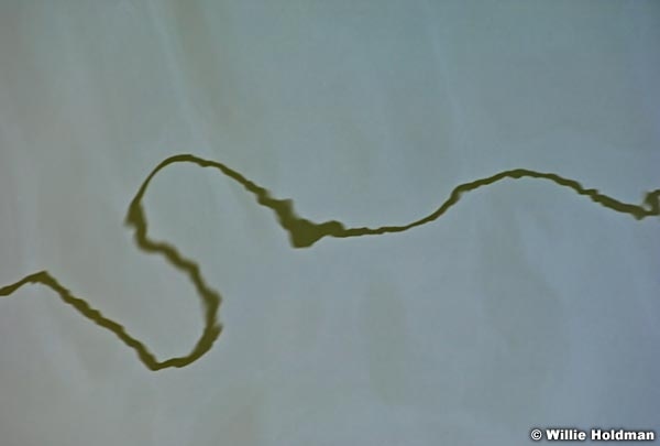 powellwaterabstract061610 0752
