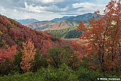 Wasatch Back Autumn 092922 9279