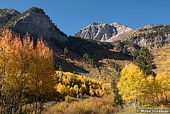 Timpanogos Autumn Color 100221 8824