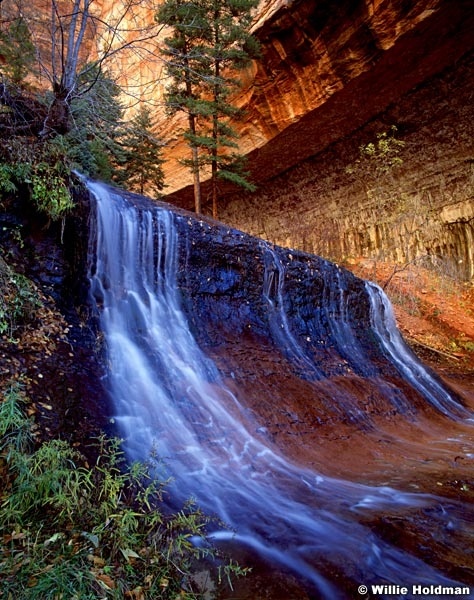 265063001204