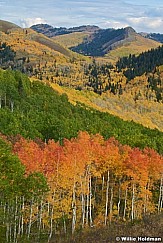 Redgreenyellowaspens100208 6787