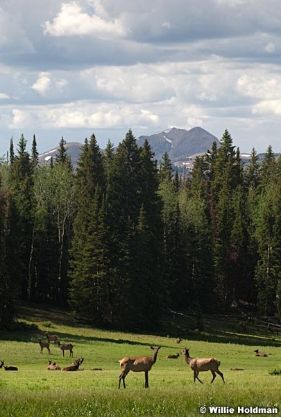 elktushars071310 2348