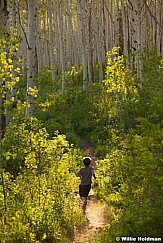 Boy Hiking Aspens 061513 9435