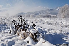 frostytractor121708 10019