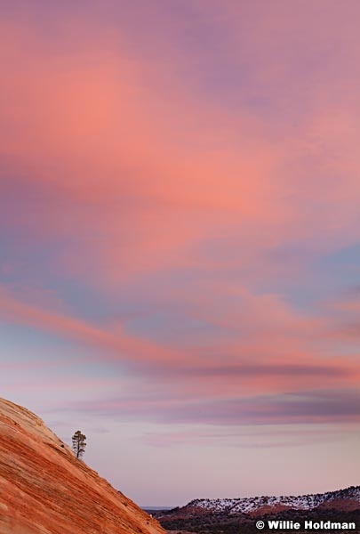 Sandstone Swirls Kanab 032012 215