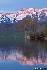 Timp Deer Creek 042216 1137