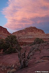 Peachy sunset Capitol Reef 052022 5721