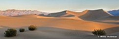 mesquitedunesearlyclean
