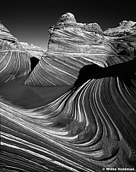 100450004115BW