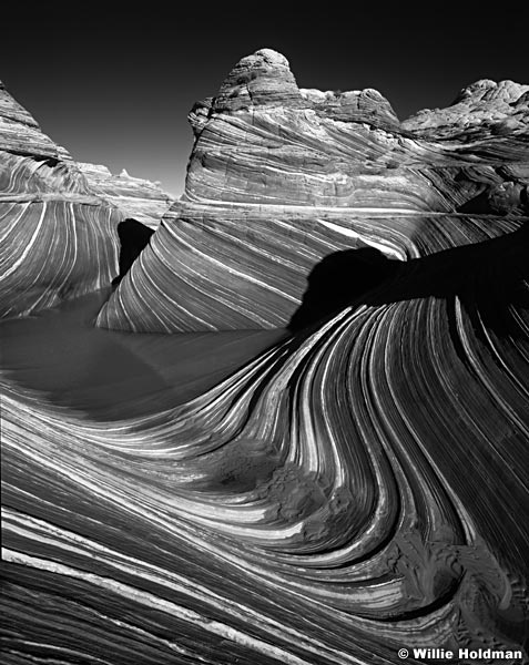 100450004115BW