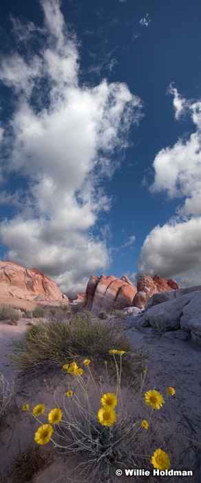 Clouds over marigold 041118 2361 pan