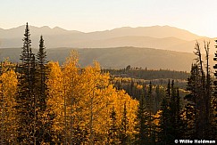 Center Creek Aspen Mountain Ridge 100224 1518
