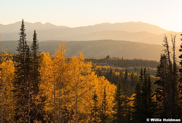 Center Creek Aspen Mountain Ridge 100224 1518