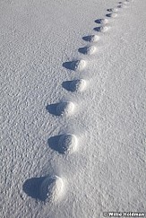 oddtracks121310 1627