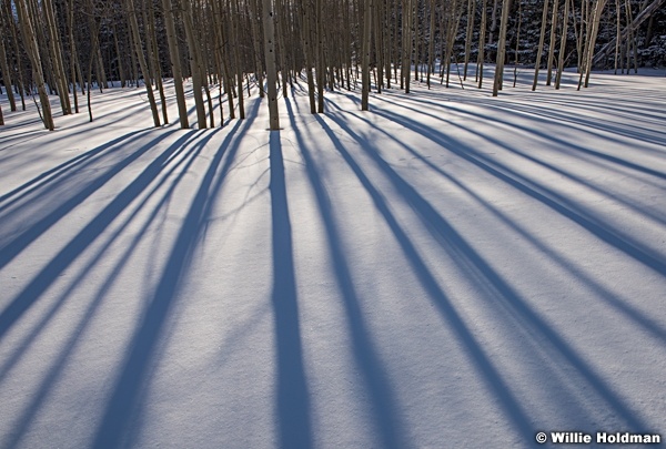 La Sal Aspens 030617 94061